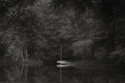 PICT2674psbg2bw.jpg