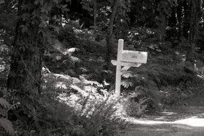 PICT3339bwps.jpg