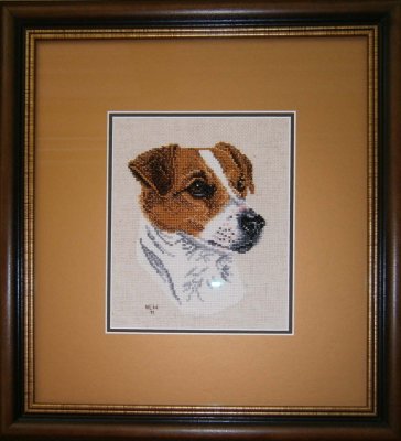 JackRussell01_display.jpg