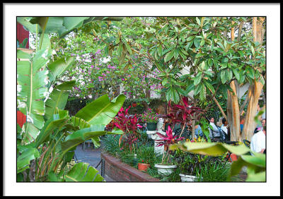 Outdoor Restaurant
