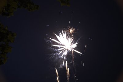 pigroast12-505.jpg