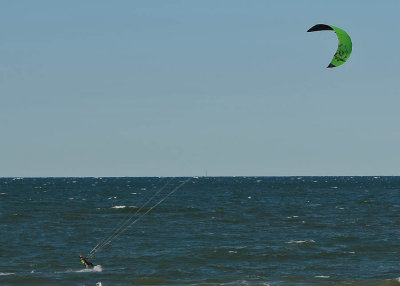 Cape Cod 2011-6067.jpg