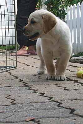 IMG_5725ps.jpg