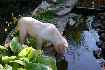 IMG_5754pss.jpg