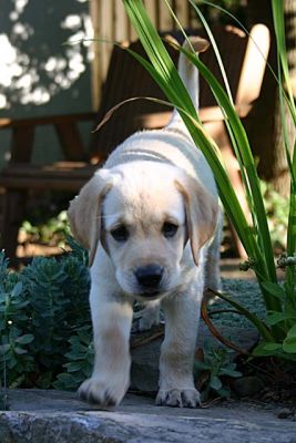 IMG_5786pss.jpg
