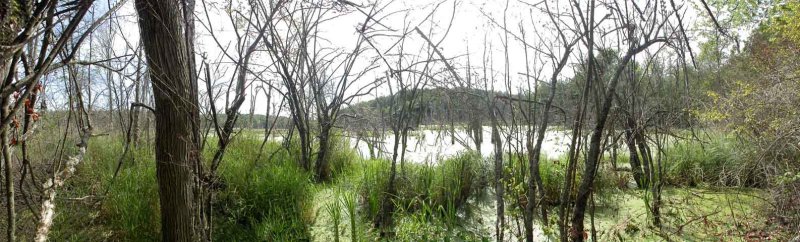 The lake at the farm.