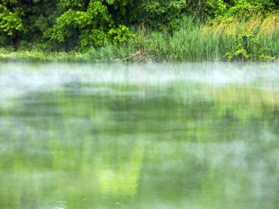 Fog over the Lake.jpg