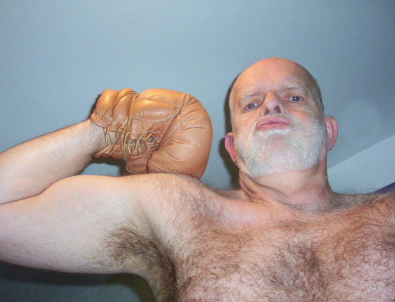 hairy pecs boxing bear.jpg