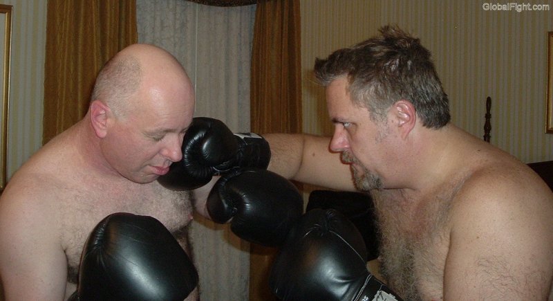 polarbears boxing gay hotelroom silverdaddies pics.jpg