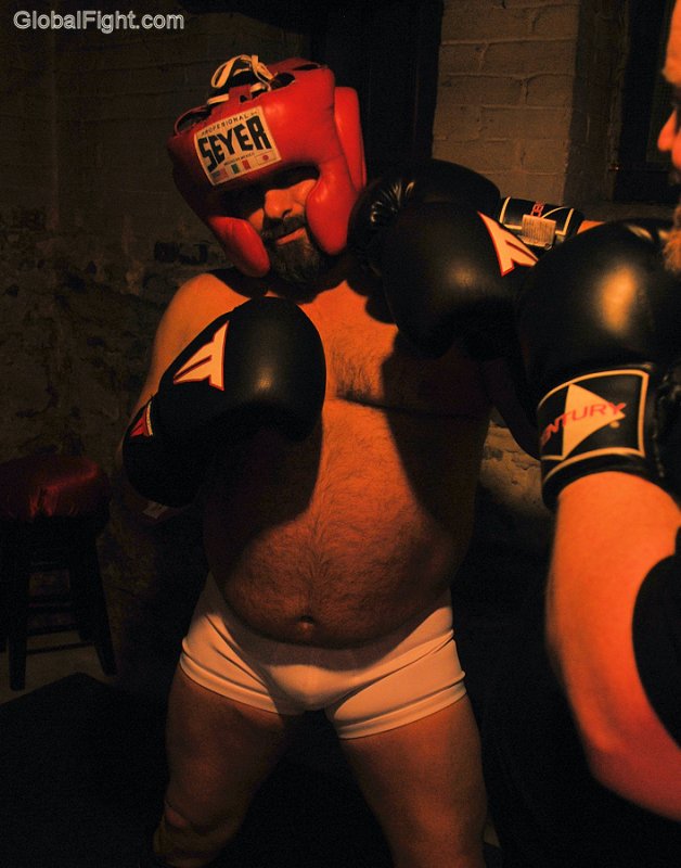 boxing bears getting punched face punching big bulges.jpg