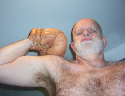 hairy pecs boxing bear - Copy.jpg