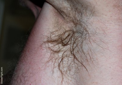 sweat dripping hairy armpits wet.jpg