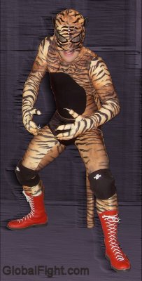 costumes cat wrestling outfit.jpeg
