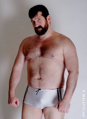 mean stern looking daddy bear photos gallery pics.jpg