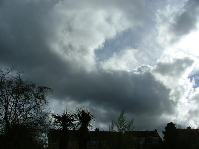 April sky in my garden