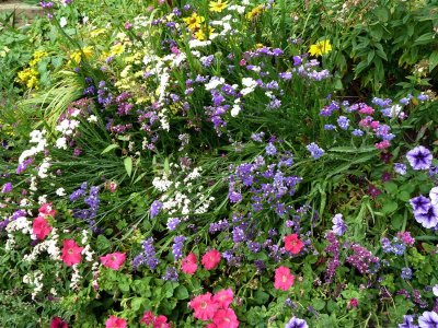 Castle Gardens, Bakewell