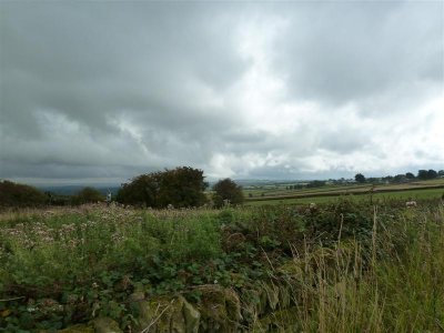 View from Wadshelf