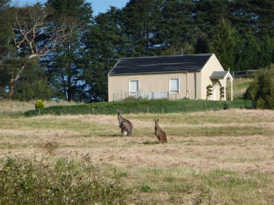 They spotted us!