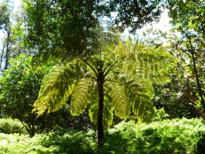 Royal Botanic Gardens, Melbourne