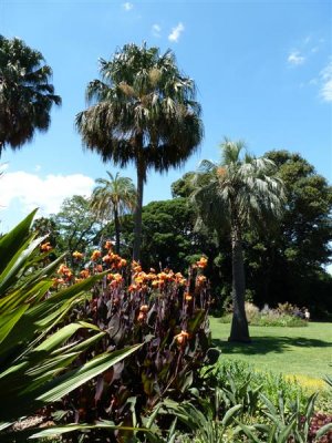 Royal Botanic Gardens, Melbourne