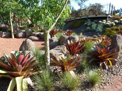 Royal Botanic Gardens, Melbourne