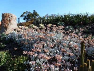 Royal Botanic Gardens, Melbourne