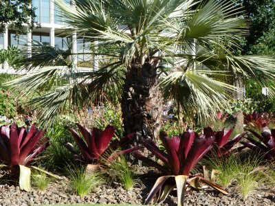 Royal Botanic Gardens, Melbourne