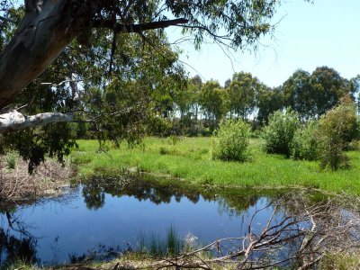 Birrarrung Park, Lower Templestowe