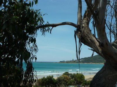 Between Torquay and Anglesea