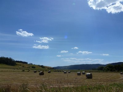 Southern farming country