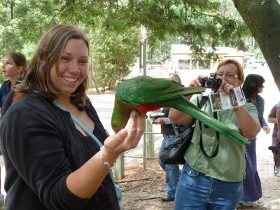 Emily with Australian king parrot at Grants, Kallista