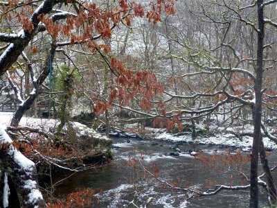 Waterfall walk, Pontneddfechan 5 Feb 2012