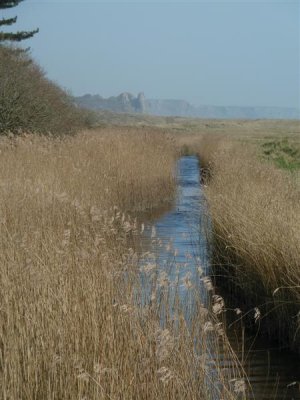 Oxwich marsh