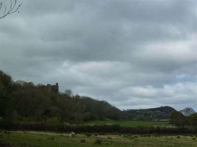 Looking back to Weobley Castle