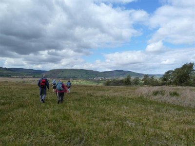 Through bog-snorkelling territory