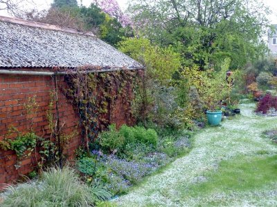 Aftermath of hailstorm