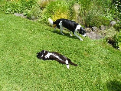 Flo slinks carefully past Doolin...