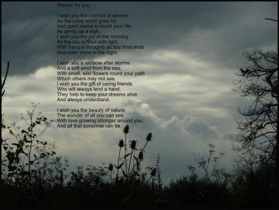 Poem by Iris Hesselden, photo by me