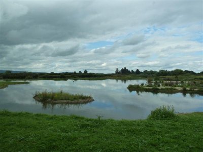 View from the Rushy hide