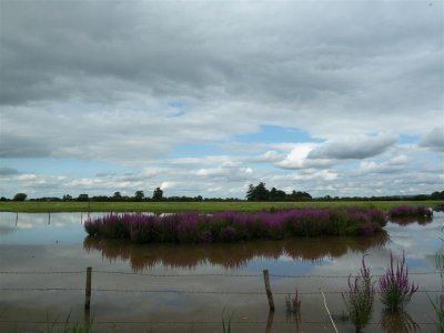 P1100743 (Medium).JPG