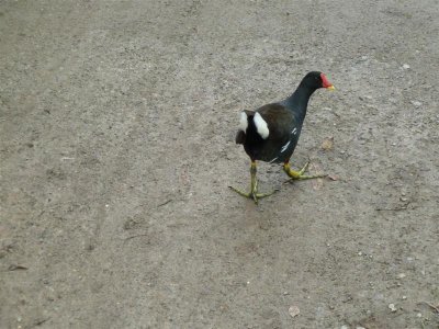 I'm not following you, honest