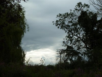 P1100857 (Medium).JPG