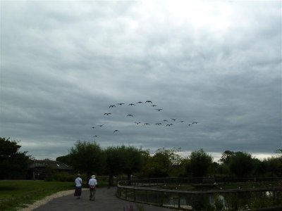 P1100863 (Medium).JPG