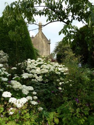 The Maple Garden