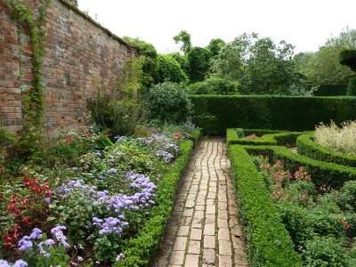 The Fuchsia Garden