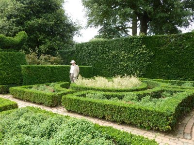 The Fuchsia Garden