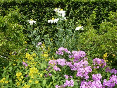 The Pillar Garden