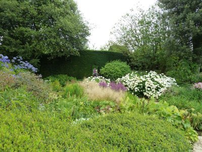 The Central Stream Garden