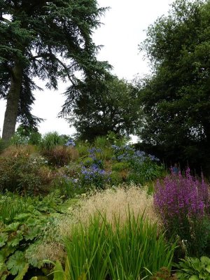 The Central Stream Garden