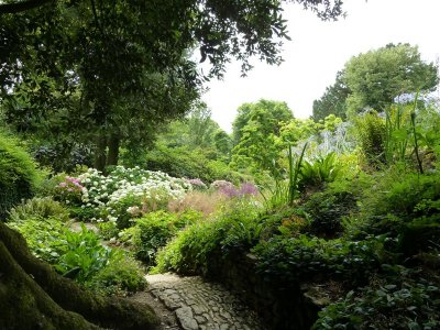 The Central Stream Garden